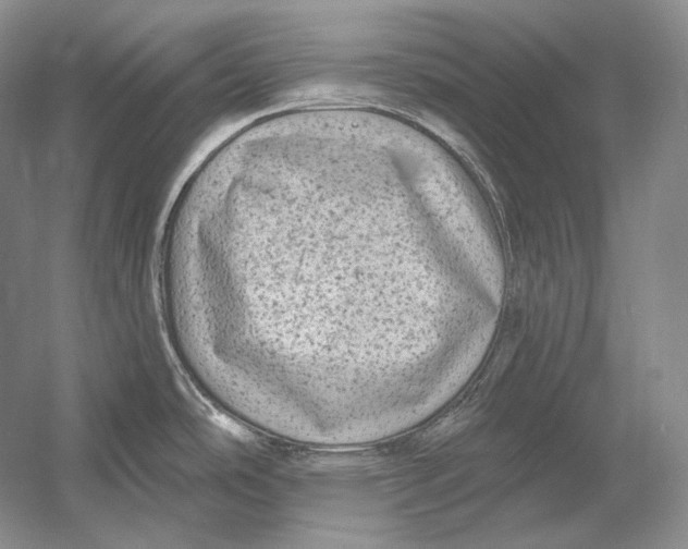 X0000054381486200508262354