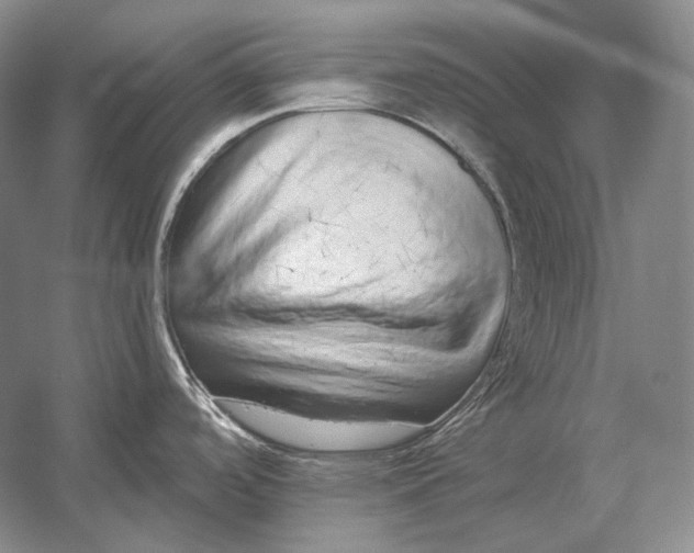 X0000054381488200508262354