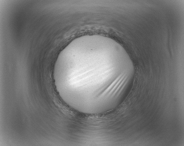 X0000054381489200508262353