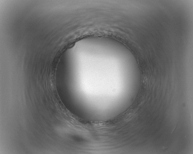 X0000054381490200508262353