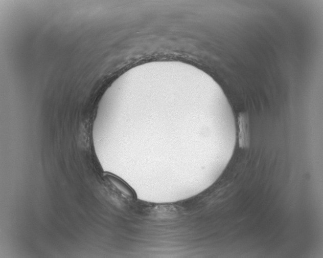 X0000054381491200508262353