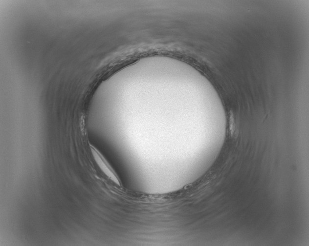 X0000054381492200508262353