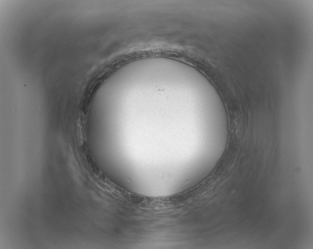 X0000054381493200508262353