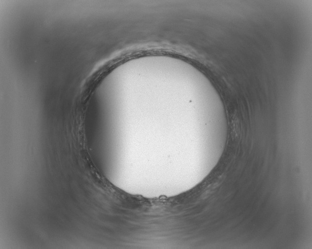 X0000054381494200508262353