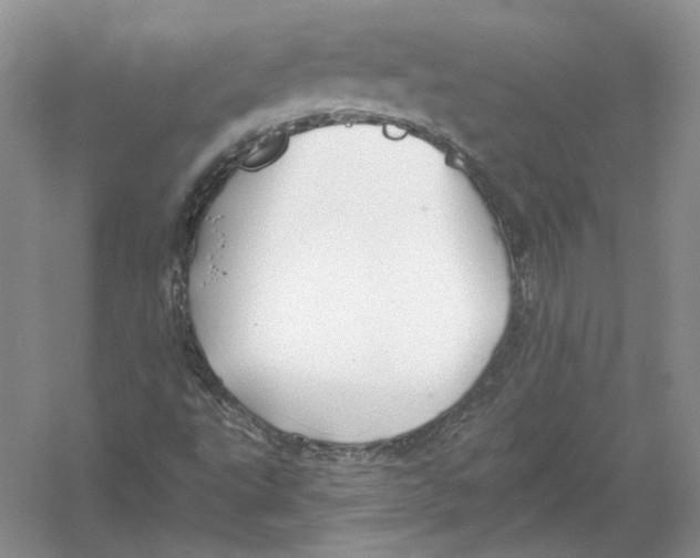 X0000054381495200508262353