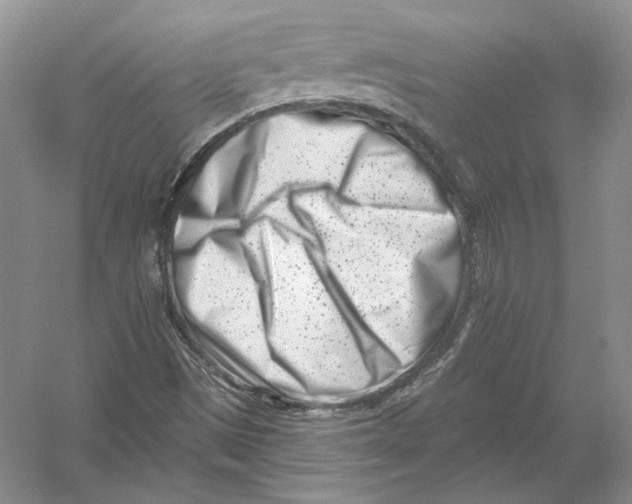 X0000054381497200508262353