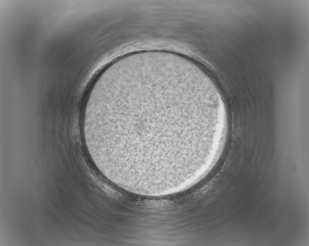 X0000054381498200508262353