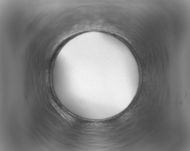 X0000054381499200508262353