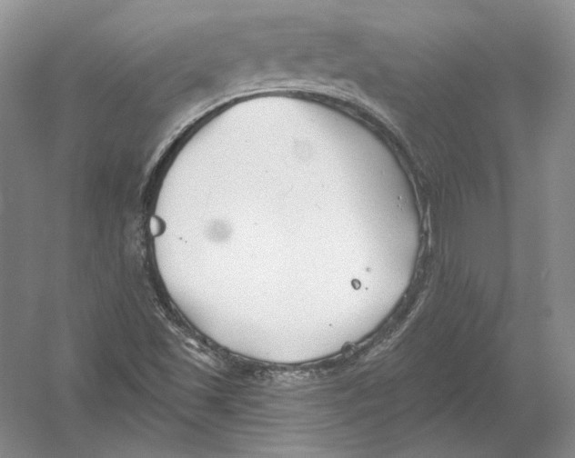 X0000054381501200508262354