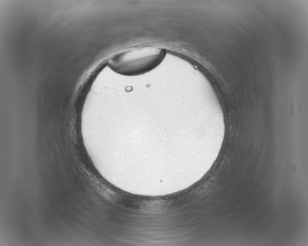 X0000054381502200508262354