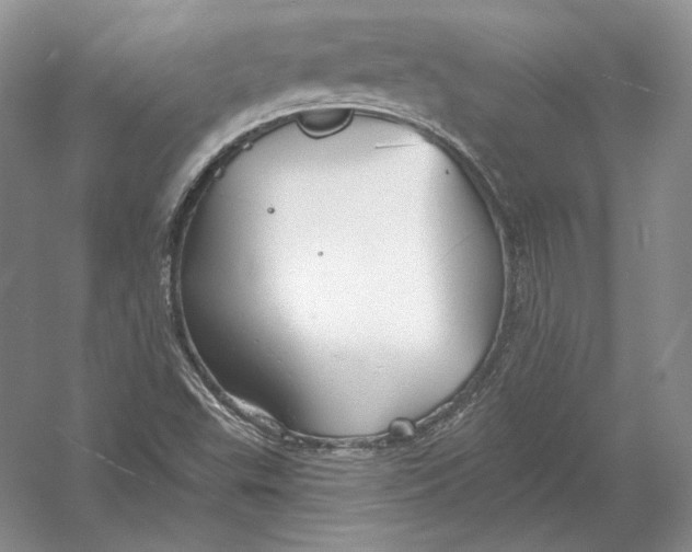 X0000054381503200508262354