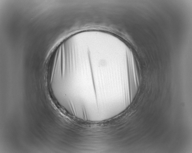 X0000054381504200508262354