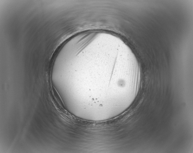 X0000054381505200508262354