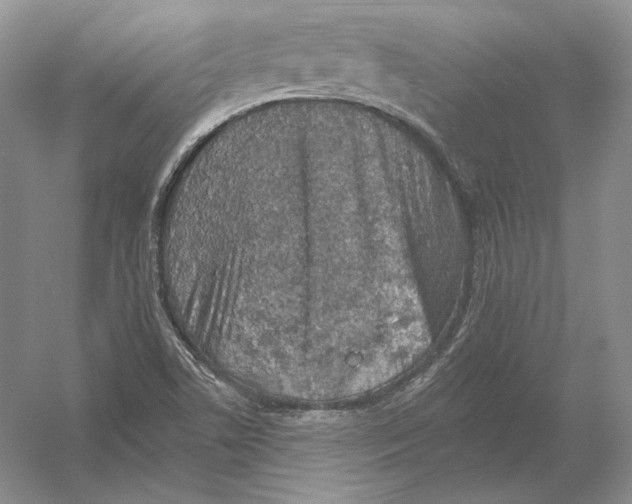 X0000054381506200508262354