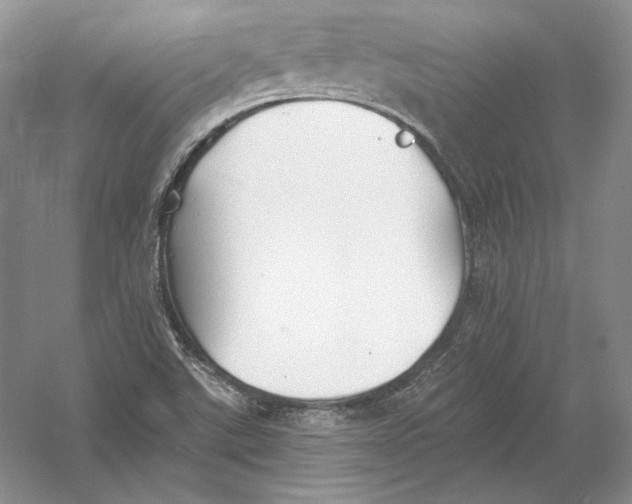 X0000054381507200508262354