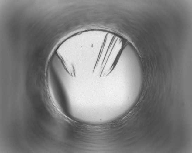 X0000054381508200508262354