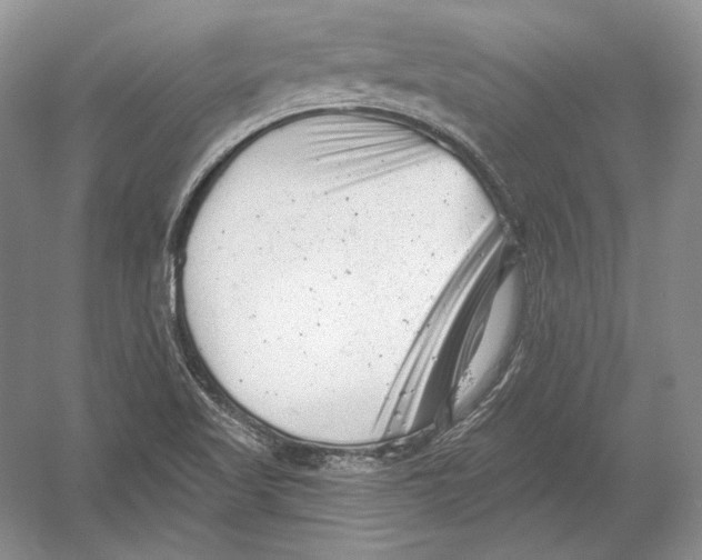 X0000054381509200508262354