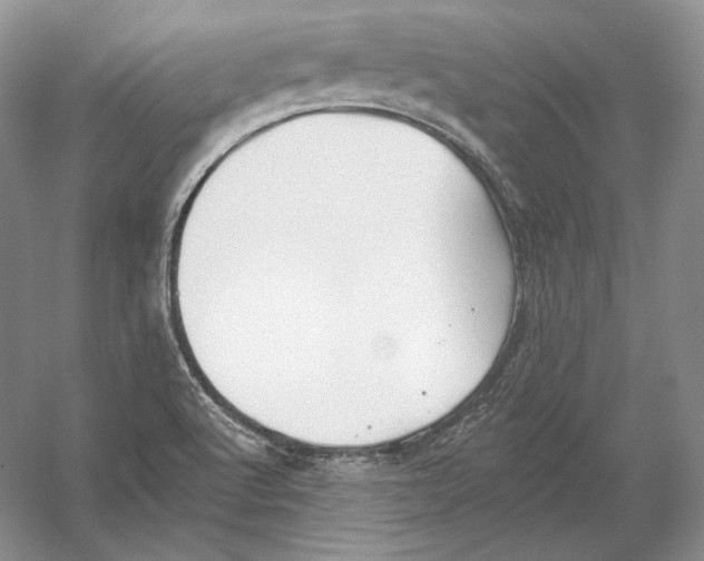 X0000054381512200508262354