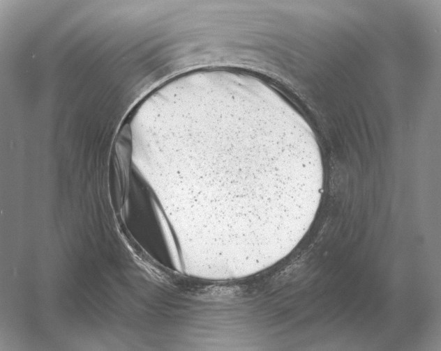 X0000054381513200508262354