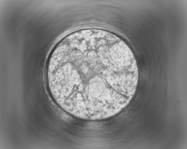 X0000054381514200508262354