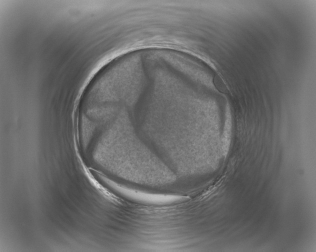 X0000054381515200508262354