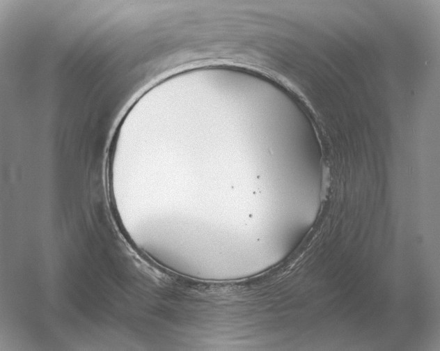 X0000054381516200508262354