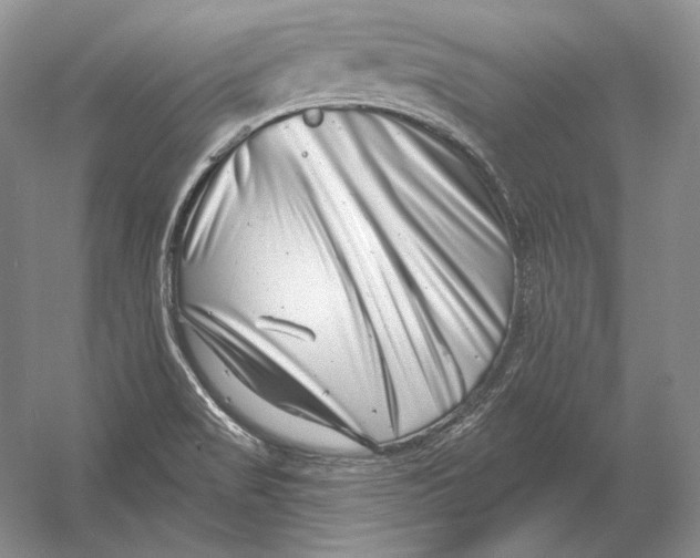 X0000054381517200508262354