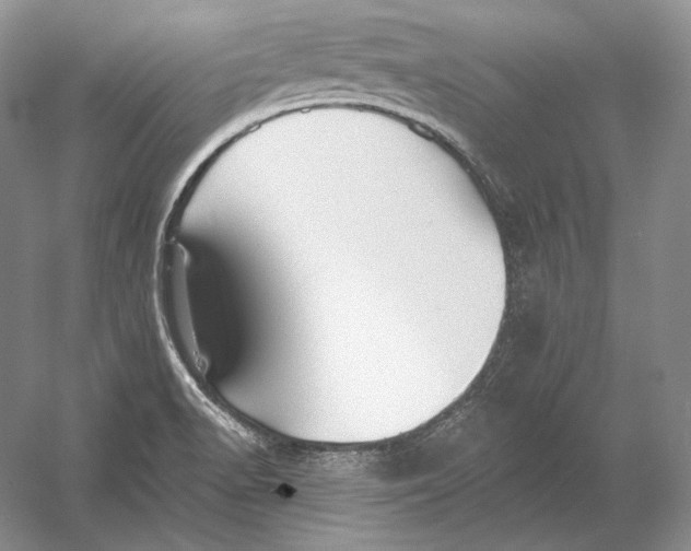 X0000054381518200508262354