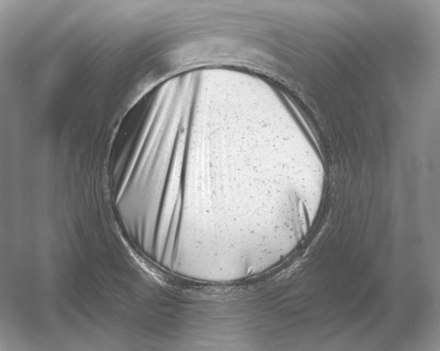 X0000054381521200508262354