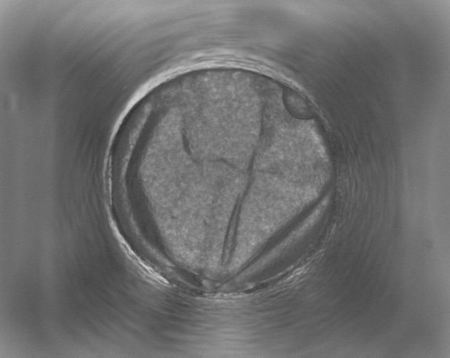 X0000054381522200508262354