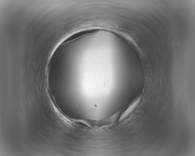 X0000054381524200508262354