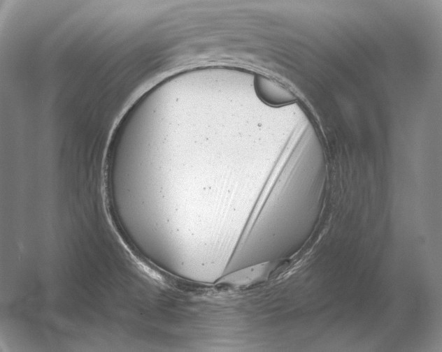 X0000054381525200508262354