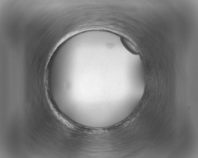 X0000054381526200508262354