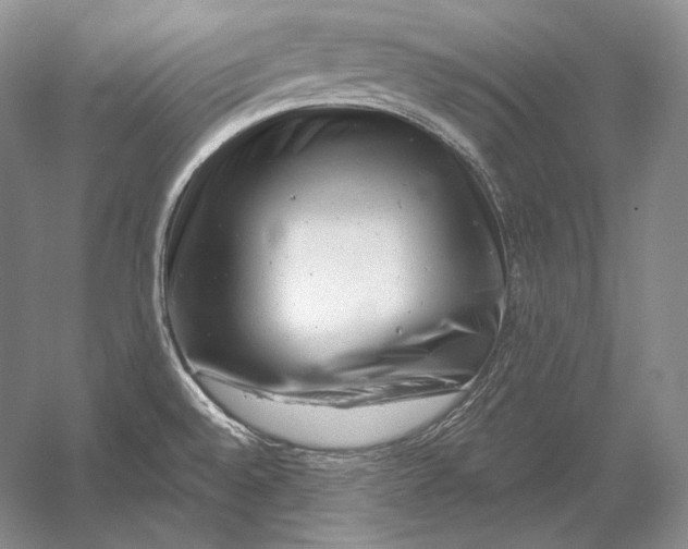 X0000054381528200508262354