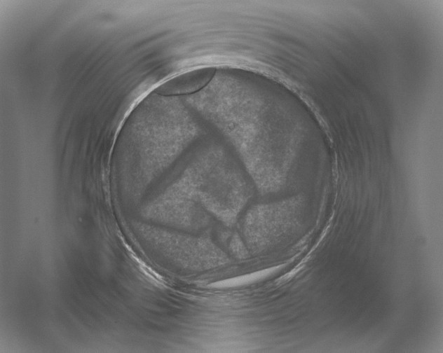 X0000054381529200508262354