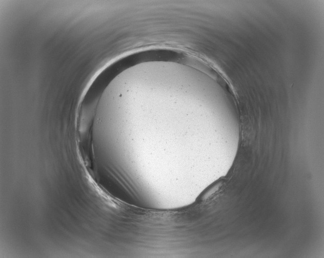 X0000054381532200508262354