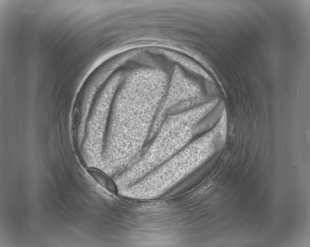 X0000054381535200508262354