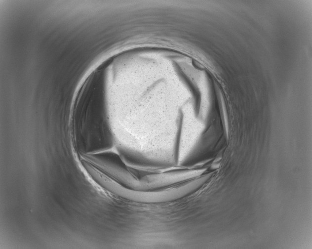 X0000054381536200508262354