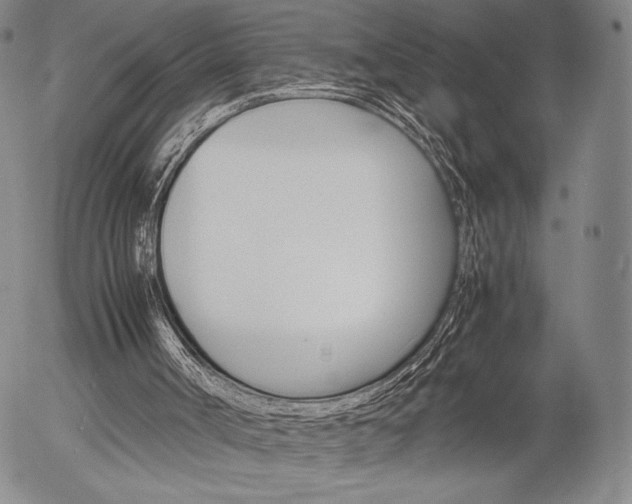 X0000054390002200507290818