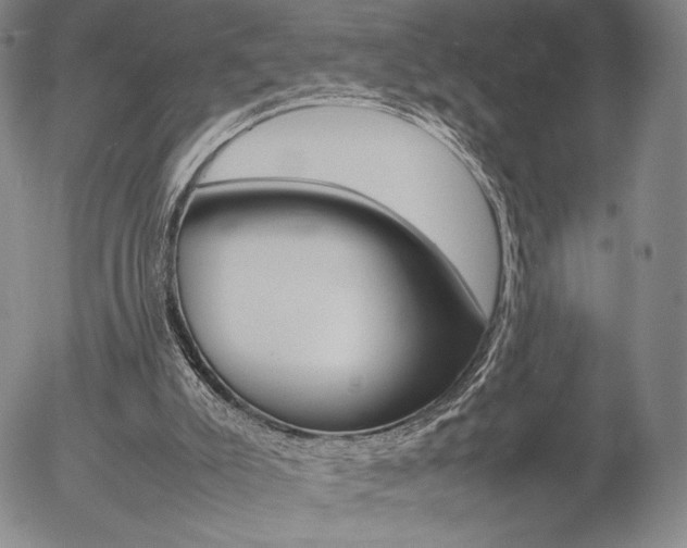 X0000054390007200507290818