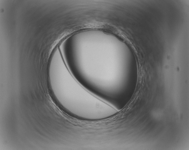 X0000054390011200507290818
