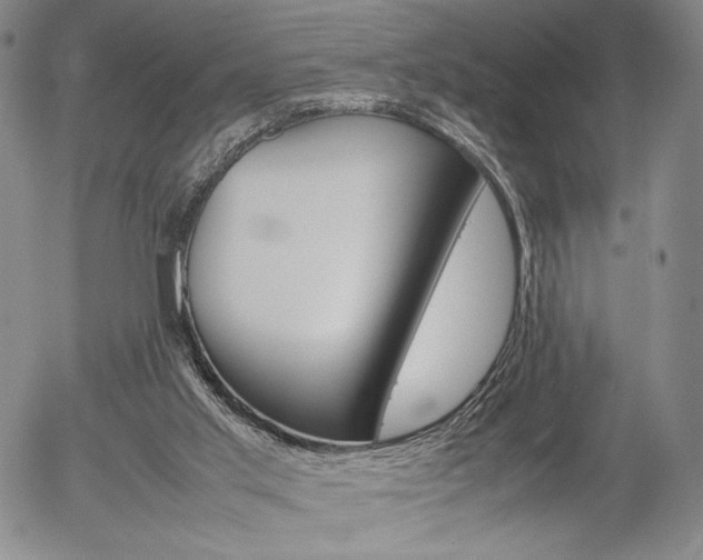 X0000054390013200507290818