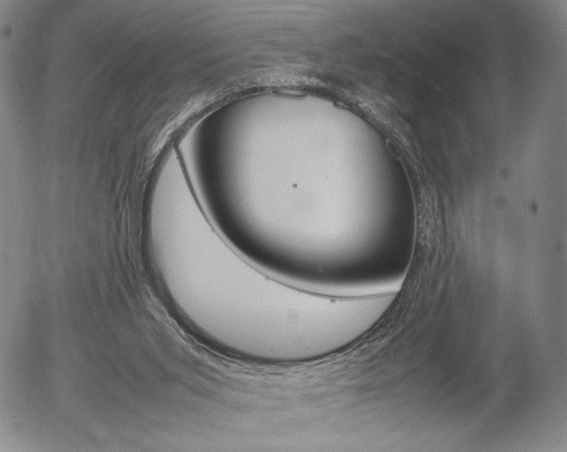 X0000054390015200507290818