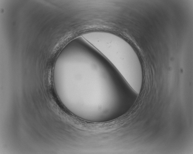X0000054390023200507290818