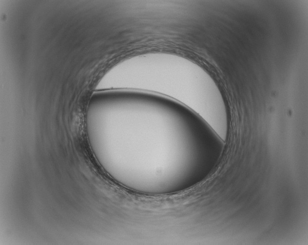 X0000054390029200507290817