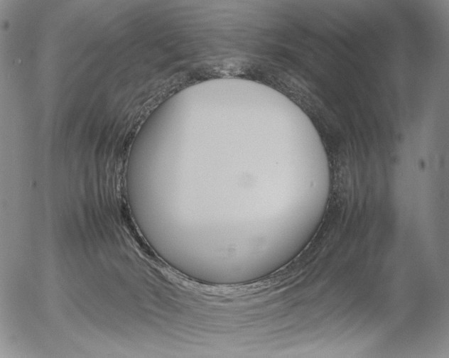 X0000054390030200507290817