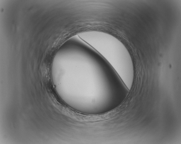 X0000054390031200507290817