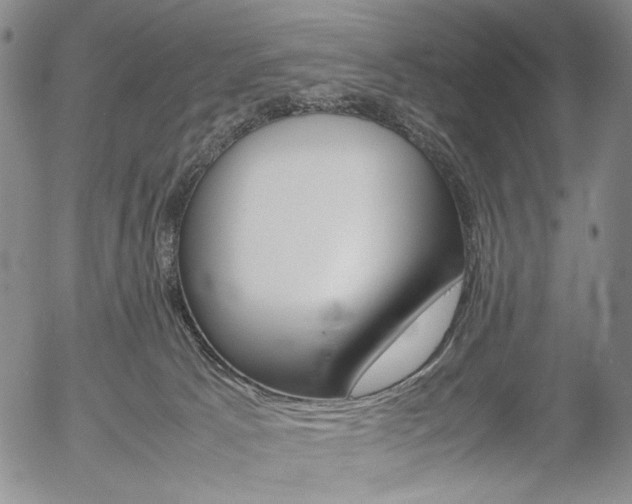 X0000054390033200507290817