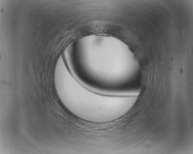 X0000054390035200507290817