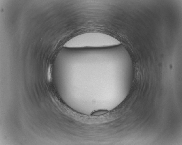 X0000054390042200507290817